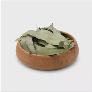 برگ اکالیپتوس
