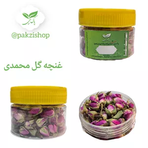 غنچه گل محمدی