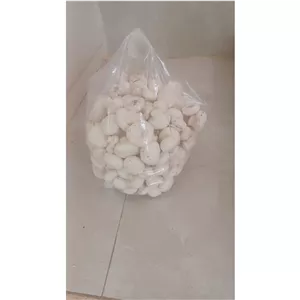 قارچ فله ای نایلونی پنج کیلویی