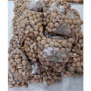 گردو پوست توری وارداتی 