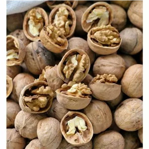 گردو درجه یک 
