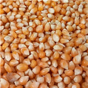 ذرت خشک پفیلا