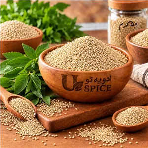 کینوا 50 گرم برای تهیه انواع سالاد، سوپ، غذاهای گیاهی و وعدههای غذایی متنوع.
