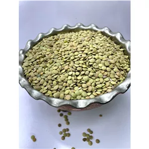 عدس درشت دستچین شده 15 کیلویی