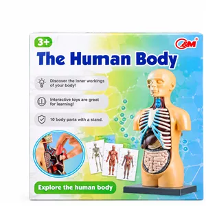 اسباب بازی آموزشی مولاژ نیم تنه (10 تکه) سایز کوچک مدل The Human Body 3305
