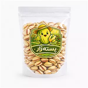 پسته آقایی خام پسته زار - 500 گرم RZT