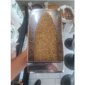 عدس ریز 