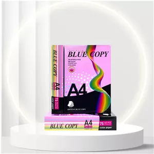 کاغذ رنگی A4 BLUE COPY ده رنگ (75gr)