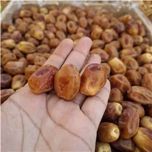 خرمای زاهدی قرمز درجه یک زیپ کیپ2کیلویی