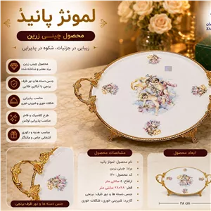 دیس گرد متوسط لمونژ پانیذ