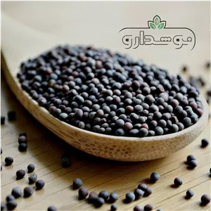 خردل سیاه 10 کیلویی (ارسال رایگان) کارتن