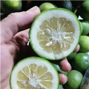 نارنج محلی تازه و باغی