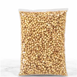 گندمک شور