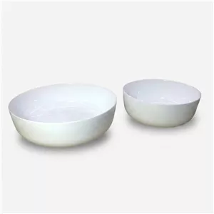 سرویس 2 پارچه کاسه دینو مدل آون ورژن 2