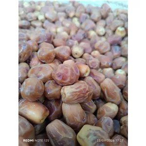 خرما زاهدی (قصب)