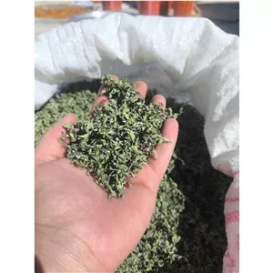 آویشن کوهی خودرو قائنات