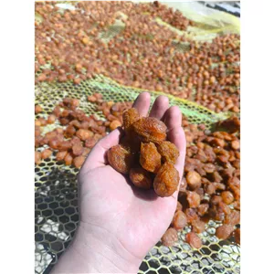 الو بخارا قائنات