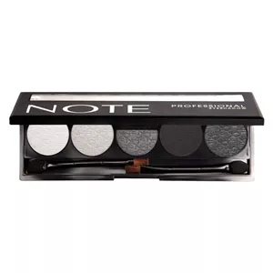 پالت سایه چشم نوت سری Professional Palette تحت لیسانس شماره105