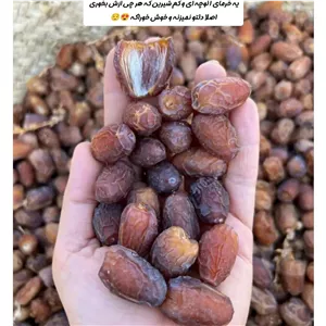خرمای آدامسی یا آجیلی،شسته شده تازه امسالی،هر چی ازش بخوری دلتو نمیزنه ب عنوان آجیل و مصرف کنار چای عالیه