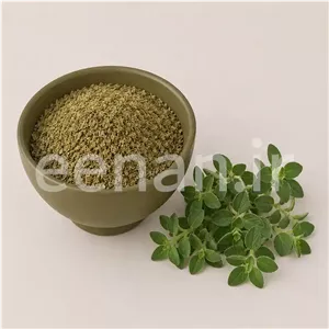 گل اورگانو گرین لند