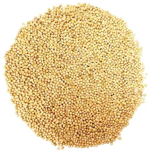 غذای پرندگان مدل ارزن وزن 900 گرم WG6