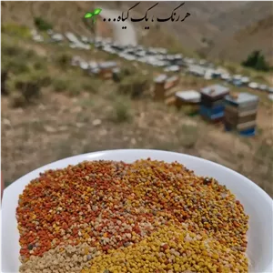 گرده گل 
