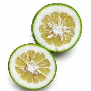 نارنج محلی تازه و باغی
