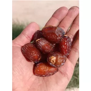 خرمای آدامسی(آجیلی)،باکیفیت شسته شده تازه امسالی 