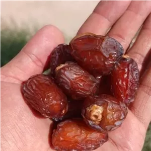 خرمای آدامسی(بریم)یا آجیلی،باکیفیت،شسته شده تازه 