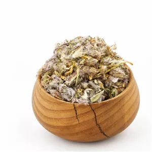 چای کوهی