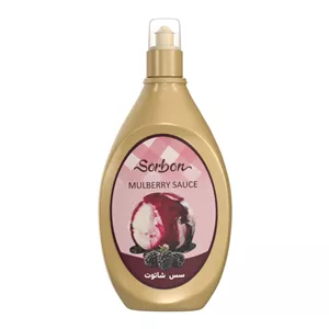 سس بستنی با طعم شاتوت سوربن - 500 گرم