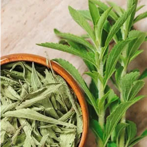 برگ استویا (بِه تَن)