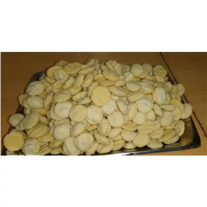 کشک تازه گاو و گوسفند