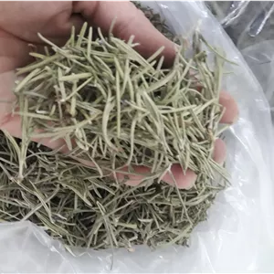 رزماری کاملا خشک و تازه