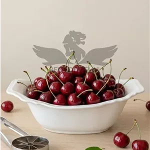 میوه خوری سرامیکی درسا 