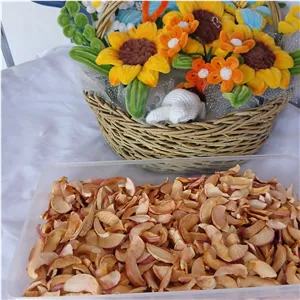 سیب درختی خشک