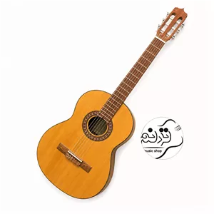 گیتار پارسی D3 + خرید قسطی