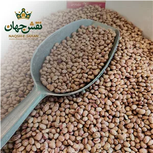 لوبیا چیتی دستچین اعلا 