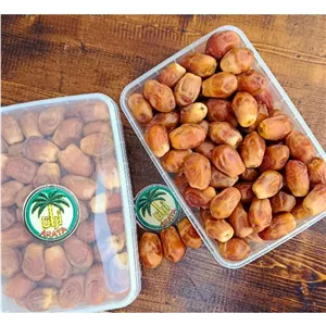 خرما زاهدی برداشت مهر 405 کاملا تازه 