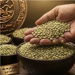 عدس درجه یک زود پز