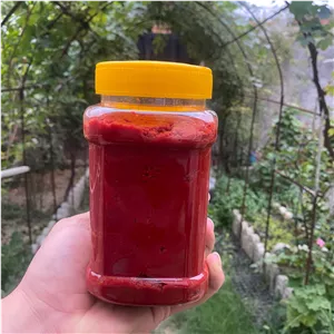 رب گوجه درجه یک خانگی 500 گرم