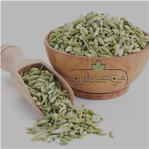 رازیانه (بادیان) 10 کیلویی (کارتن)