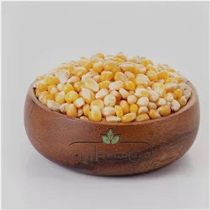ذرت پفیلا 10 کیلویی (ارسال رایگان) کارتن