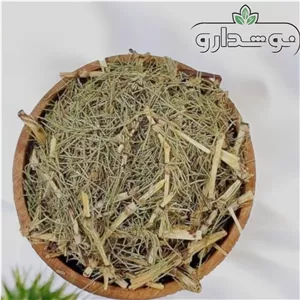 دم اسب 10 کیلویی (پسکرایه) کارتن