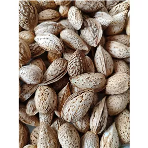 بادام پوست کاغذی تازه (برداشت امسال) پرمغز و ترد - بسته یک کیلوگرمی