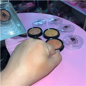 رژگونه و سایه چشم ابرو بادی شاین دار