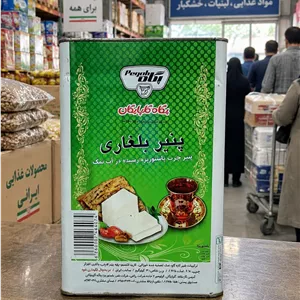 پنیر بلغاری پگاه گلپایگان حلب 13 کیلویی فروش عمده با ارسال رایگان 