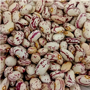 لوبیا چیتی دانه پاک