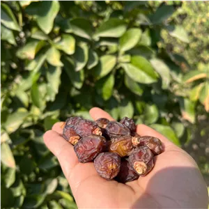خرما خاصویی آجیلی