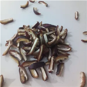 خلال خرما تازه ارگانیک 